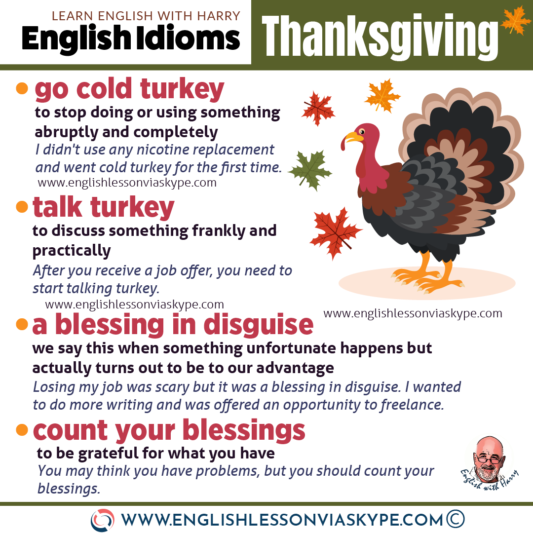 Idioms and Phrases related to Thanksgiving English with Harry 👴