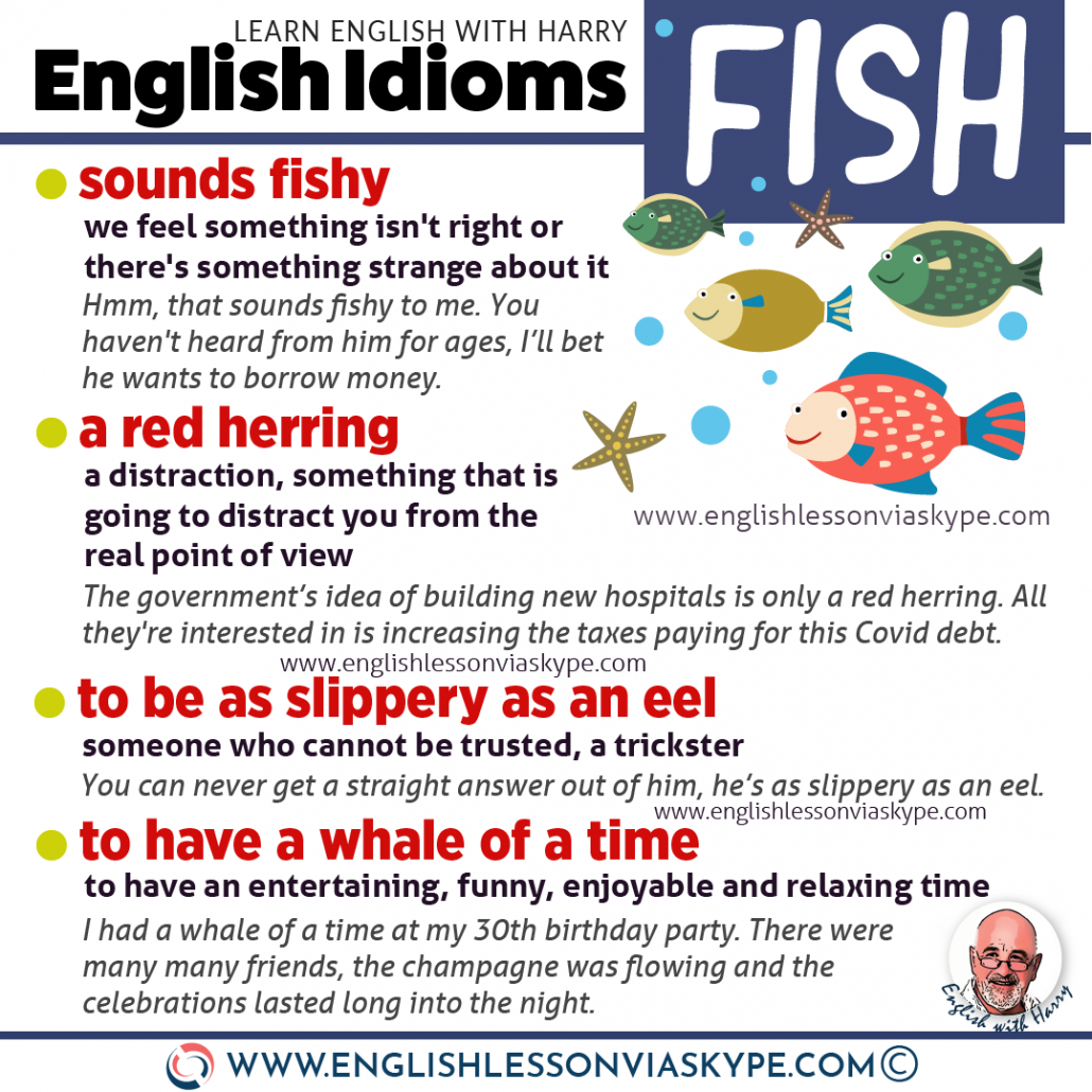 Fish Idioms and Phrases - Word Coach